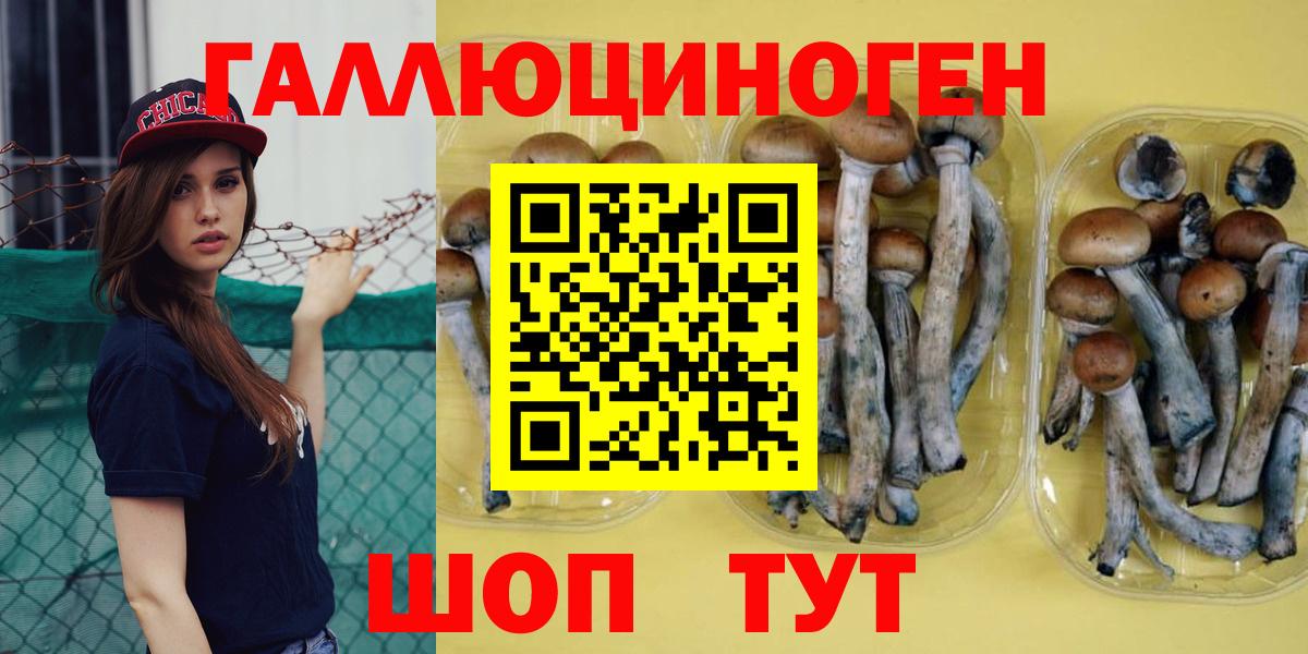 Верхняя Салда  Галлюциногенные грибы GOLDEN TEACHER  Вход с VPN 