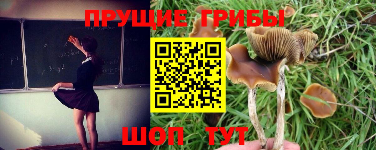 Галлюциногенные грибы прущие грибы Верхняя Салда
